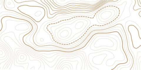 Abstract Topography line poster vector. The concept of a topographic contour geography scheme and the terrain path. White color topo  © MdNayebAli