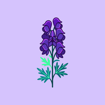 A stylized purple aconite flower illustration on a lavender background