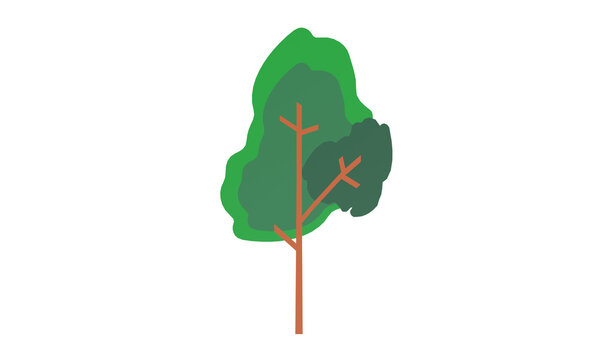tree isolated on white 2D illustration