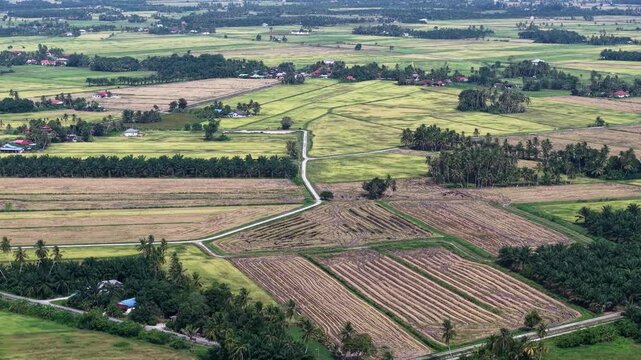 Lush green fields stretch beneath a clear sky. Farm plots show rows of crops and tilled earth