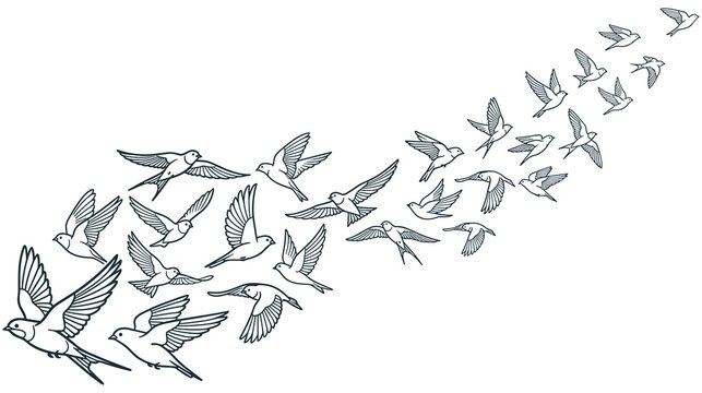 Flock of flying birds line art sketch for coloring page design concept.