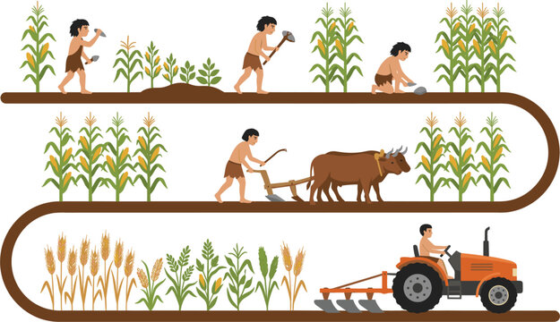 History and Evolution of Agriculture Timeline Vector Infographic with Primitive Foraging, Ancient Plow Farming, and Modern Industrial Tractor Cultivation