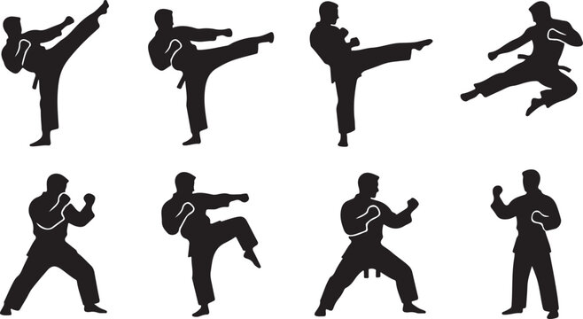 Silhouettes of martial artists performing kicks and punches in dynamic poses against a white background