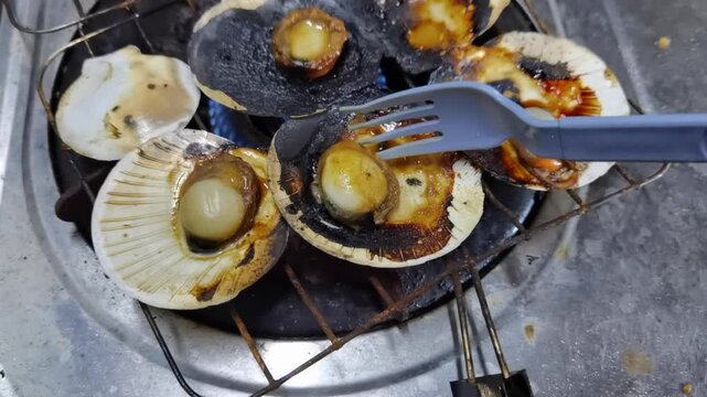 Close-up shot of fresh scallops in their shells being grilled over an open flame on a portable stove, with a hand using a plastic fork to adjust them as they cook and sizzle.