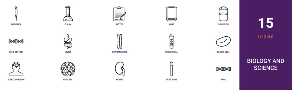Set of 15 outline web Biology and Science icons such as dna, test tube, kidney, fat cell, schizophrenia, blood cell, biological data vector icons for report, presentation, diagram, web design,