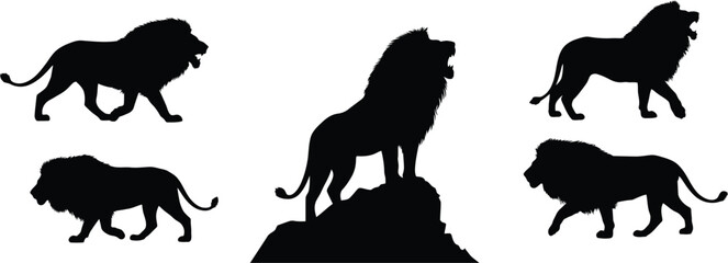 Five black silhouette lions in various poses  © MDSHAHIN