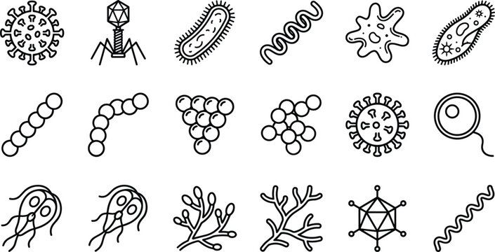 Microbiology Microorganism Line Art Icon Set with Bacteria, Virus, Bacteriophage, Spirillum, Amoeba, Coccus, and Pathogen Vector Graphics