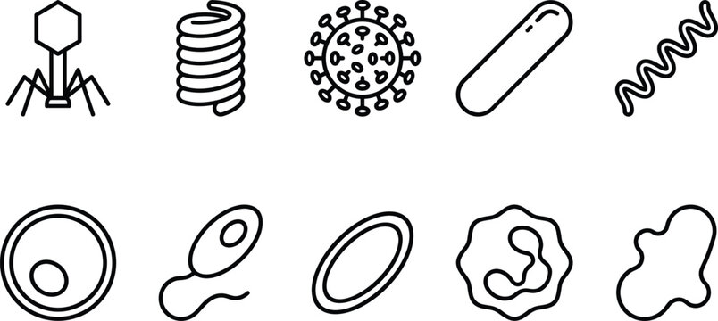 Microbiology Microorganism Icon Set Featuring Bacteriophage, Virus, Bacillus Bacteria, Spirillum, Amoeba, and Blood Cell Outline Line Art Vectors
