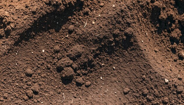 Rich dark organic garden soil texture showing fertile ground surface for agricultural growth and sustainable plant cultivation concepts