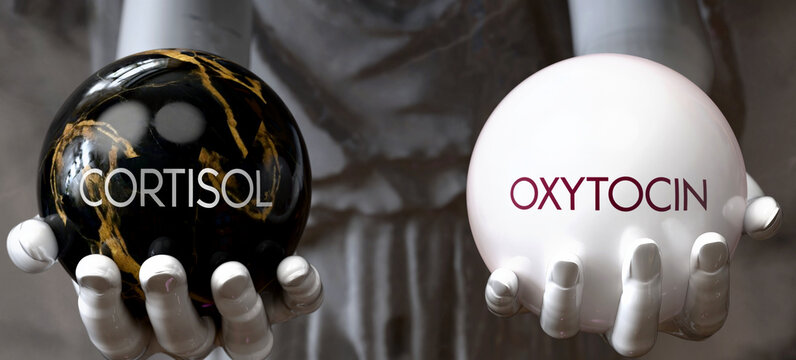 Cortisol or Oxytocin - decide between two options. Greek statue presenting a choice: cortisol or oxytocin, weighing their values. Looking at pros and cons. Presenting possibilities. ,3d illustration