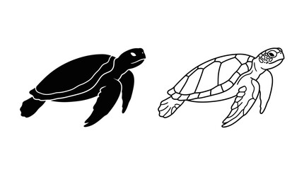 Turtle Silhouettes And Line Art On White Background © Fariaislam