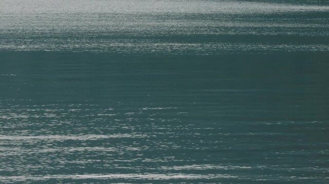 Lake Ripples