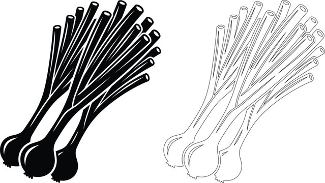 Set of scallions or spring onion vegetables icon illustration with scallion vegetable ingredient agriculture culinary nutrition vegetarian illustration
