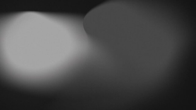 Liquid black white gradient. Abstract monochrome background with organic gradient flow. Blurred grainy texture blending black gray tones, elastic tilt shift blur effect in white gray on black,