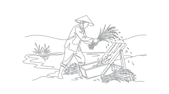 Asian farmer threshing rice crops with traditional tool line art.