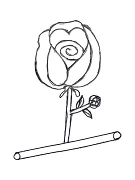 Simple line drawing of a rose in a vase