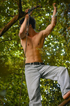 Homme torse nu grimpant dans les arbres &agrave; l'aide d'une corde, en jean et pieds nus. Illustration d'une aventure en plein air, de survie, de d&eacute;brouillardise et de loisir sauvage.