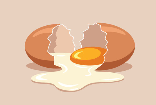 Close-up vector illustration of a freshly cracked raw chicken egg with liquid white and yellow yolk flowing out.