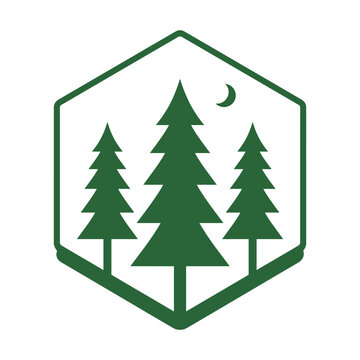 Evergreen forest landscape hexagon icon as transparent PNG