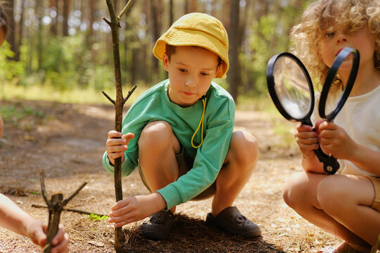 Two children crouch on the forest floor examining a tree. One child holds a stick while the other uses a magnifying glass to look closely at nature