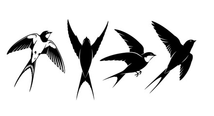 Fototapeta premium Four birds flying and perched on branches in mid air