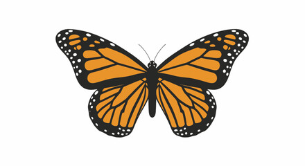 Monarch butterfly with spread wings showing orange and black patterns © star