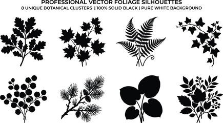 Botanical foliage and leaves black silhouette vector set featuring oak maple fern ivy eucalyptus pine and mixed branches © MdMehedi