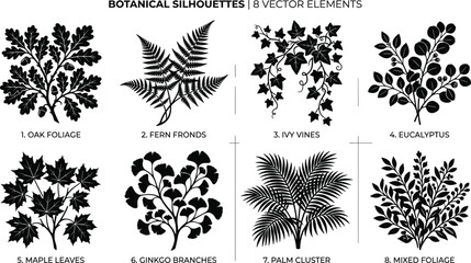 Botanical plants and leaves black silhouette icons set featuring oak fern ivy eucalyptus maple ginkgo palm and mixed foliage © MdMehedi