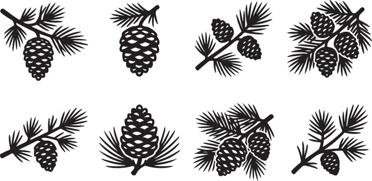 Black and white pine cones and needles illustration