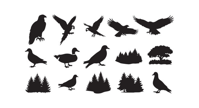 Wildlife and forest nature silhouettes with eagles parrots birds and different types of woodland tree shapes.