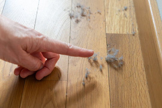 Pointing finger indicating accumulated household dust on a wooden floor
