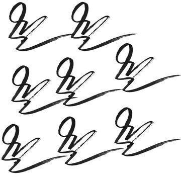 Decorative Calligraphy Flourish Brushes Set &ndash; Elegant Hand-Drawn QV Swirls Collection

