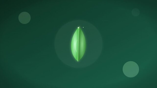 minimalist eco leaf growth organic functional animation