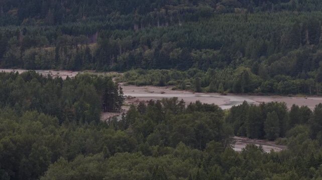 Aerial of dense coniferous forest and exposed Cowlitz riverbed in Lewis County Washington with a wide view of lush temperate rainforest bordering an alluvial plain
