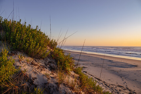 Sunrise over the ocean beach and natural sand dunes at Corolla, Outer Banks, NC