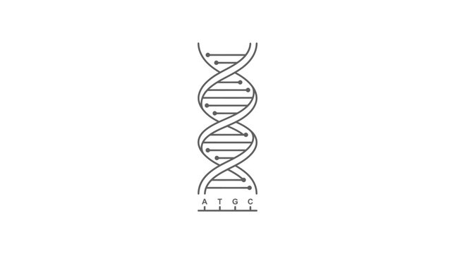 An illustration of a DNA double helix structure with ATGC base pairs depicted.