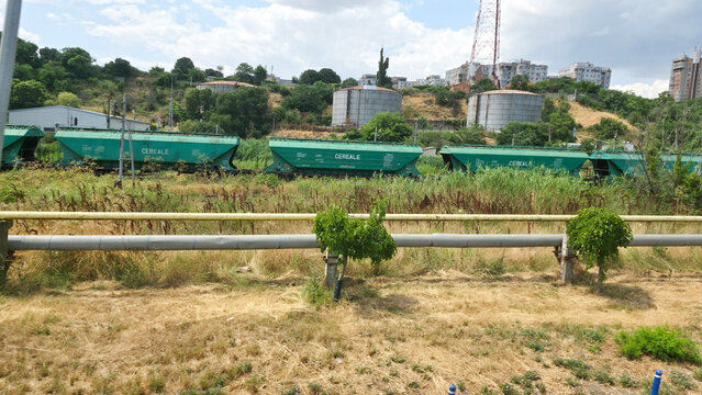 Green grain hopper train cars parked on tracks