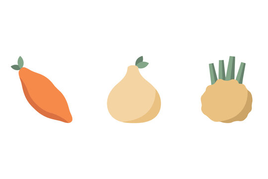 Set of three root vegetables isolated on white background, including an orange sweet potato, a light beige turnip, and a round beige celeriac root