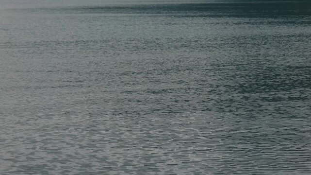 Lake Ripples