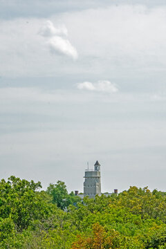 castle in the forest