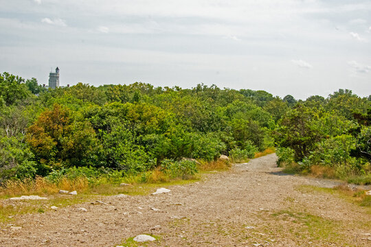 Road less traveled