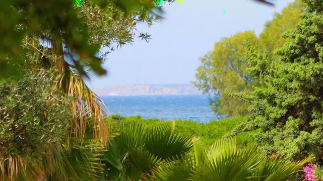 View of Kalymnos island from Kos, Greece, surrounded by trees and the sea in slow motion 60fps