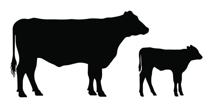 Isolated black silhouette of a mother cow and her baby calf standing together representing livestock farming agricultural production rural life and domestic animal husbandry design elements