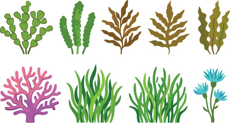 Underwater sea plants and marine coral reef vegetation vector element set for aquatic ecosystem illustrations © RurposiRani