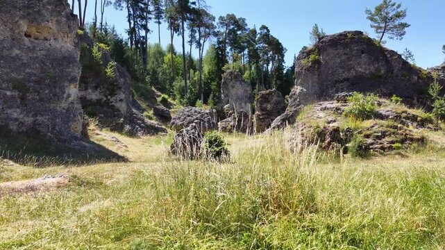 Luftaufnahme des Felsenmeers im Wental mit markanten Felsformationen aus Jurakalk, umgeben von einem dichten Nadelwald und Wanderwegen auf der Schw&auml;bischen Alb bei Sonnenschein.