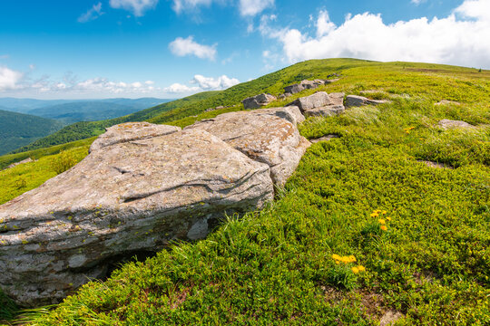 carpathian mountain landscape in summer. nice view of a grassy alpine meadow. rock and yellow herbs on the hill. sunny mountain weather with fluffy clouds on the sky