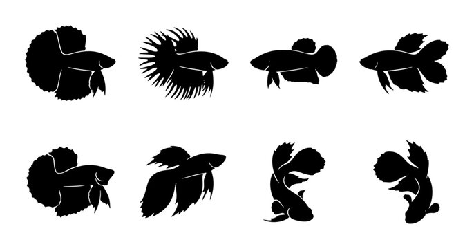 Betta Fish Silhouettes, Siamese Fighting Fish Icons, Aquatic Animal Vector Set