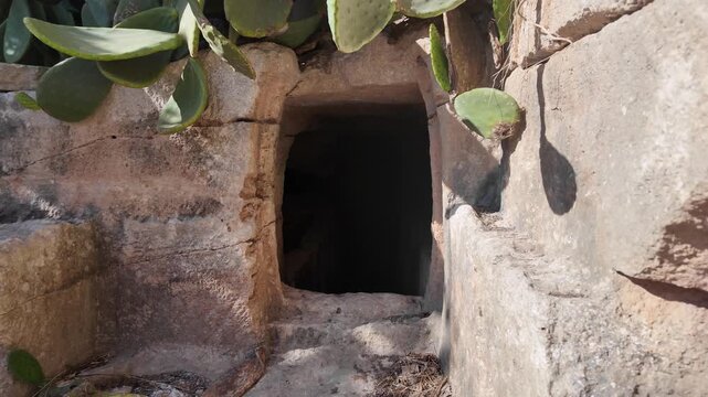 Salina, Malta - a small, dark rock-cut entrance to an ancient Paleo-Christian catacomb is framed by overhanging prickly pear cactus leaves, casting dappled shadows on the weathered limestone.