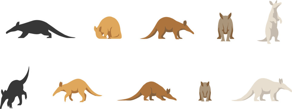 Set of aardvark character illustrations in various poses and styles, isolated on white, modern flat design icons.