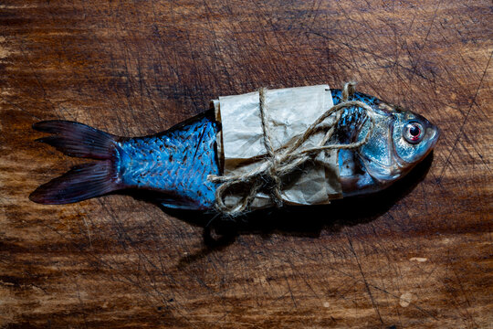 Raw fresh fish wrapped with craft paper and twine on rustic scratched wooden cutting board, closeup. Top view of seafood ingredients ready for cooking. Commercial food photography